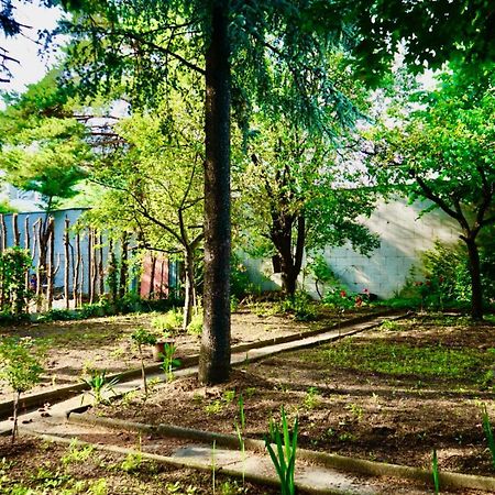 U6 Schoepfwerk Hostel 1 Viyana Dış mekan fotoğraf